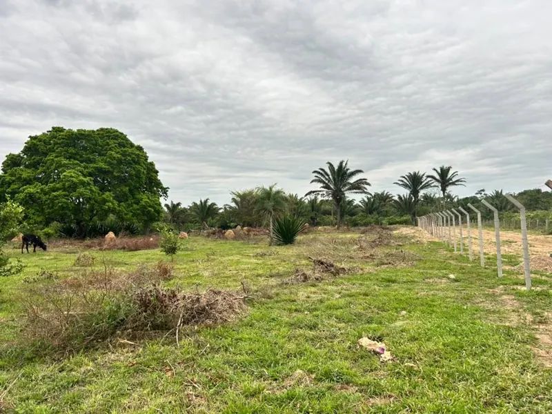 Terreno de 11,87 hectáreas en venta en Porongo, Urubó: foto 9 de 13