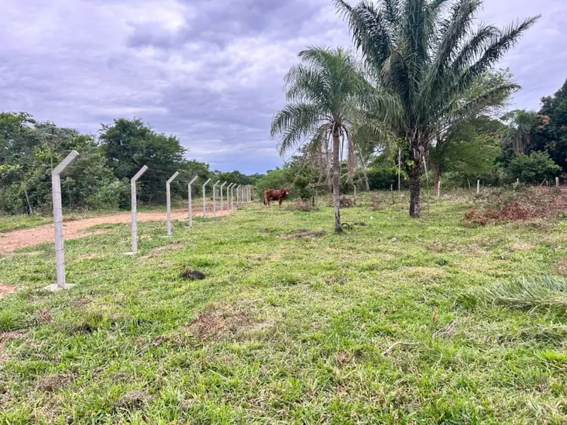 Terreno de 11,87 hectáreas en venta en Porongo, Urubó: foto 10 de 13