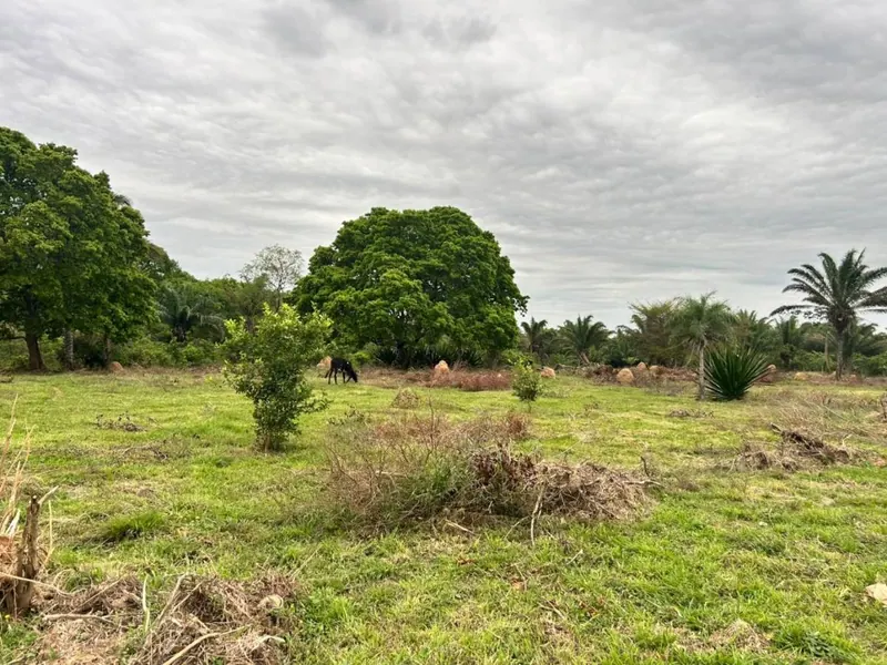 Terreno de 11,87 hectáreas en venta en Porongo, Urubó: foto 11 de 13