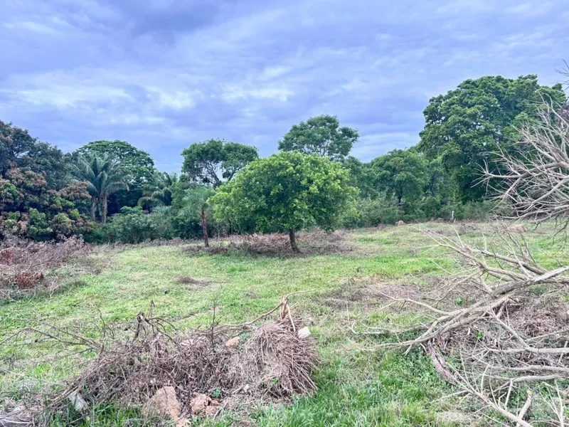 Terreno de 11,87 hectáreas en venta en Porongo, Urubó: foto 13 de 13
