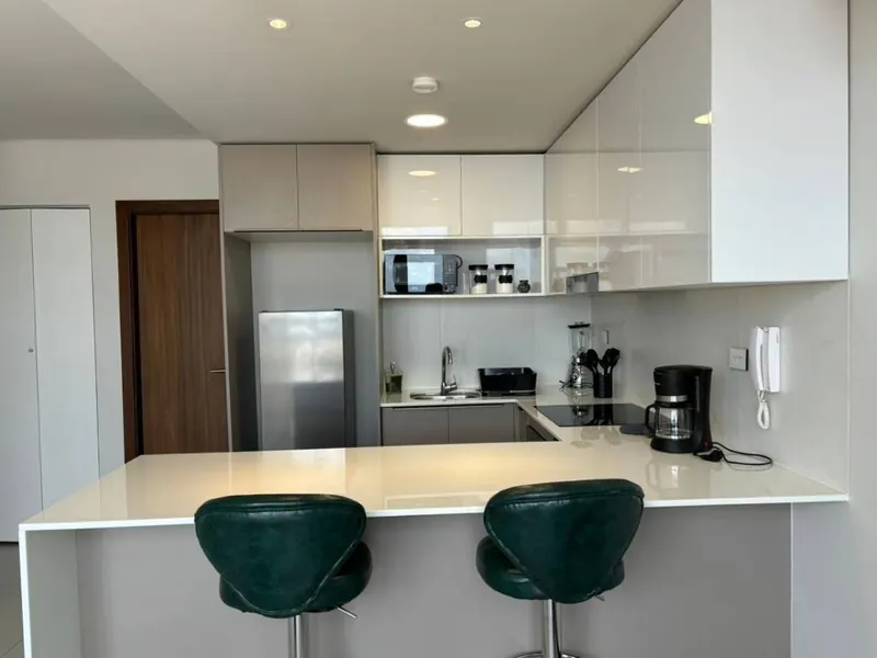 Furnished 1-bedroom apartment for rent in Vertical 60: foto 6 de 18
