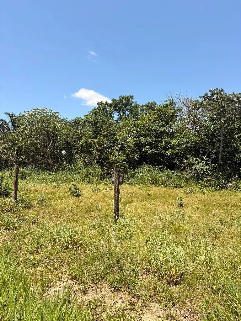 Terreno de 1.510,81 m² en venta en el Urubó, a una cuadra del puente