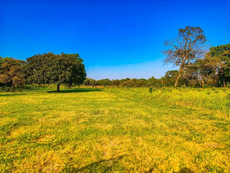 Terreno de 365,18 m² en venta en la urbanización La Colonia