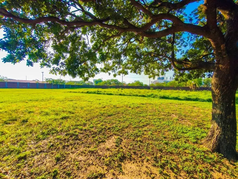 Terreno de 250,08 m² en venta en la urbanización La Colonia: foto 3 de 4