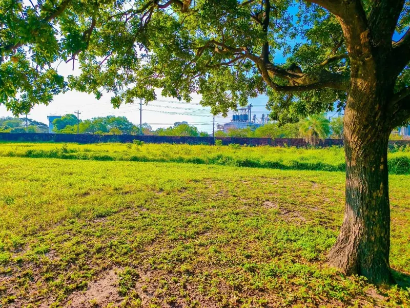 Terreno de 250,08 m² en venta en la urbanización La Colonia: foto 4 de 4