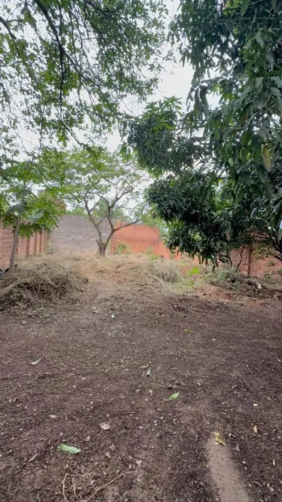 Terreno de 300 m² en venta en la urbanización Bicentenario: foto 3 de 3